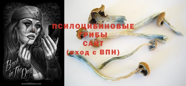 соль ск Верея