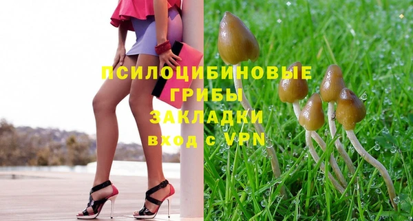 трава Верхнеуральск